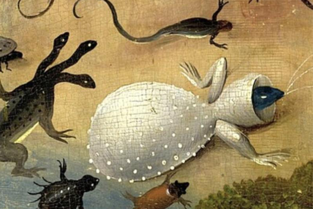 Bosch reference