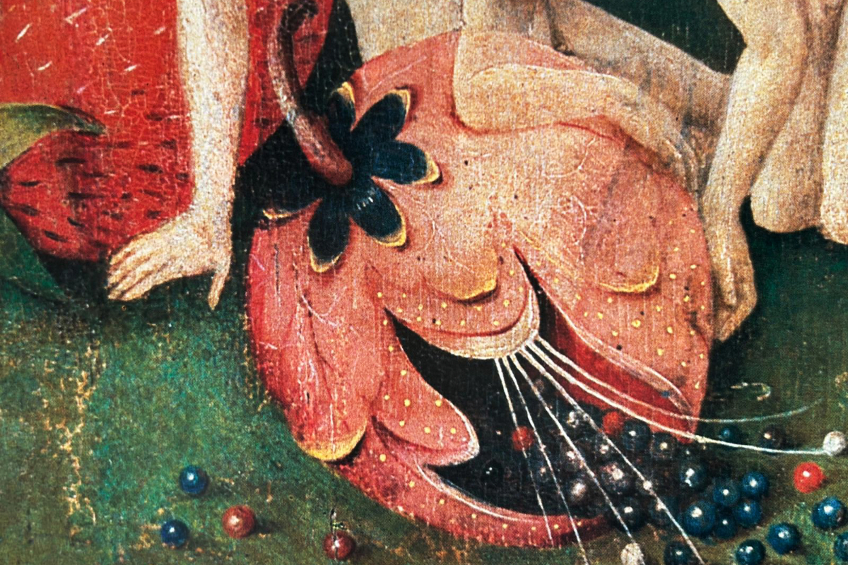 Bosch reference